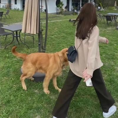 晚娘粤语